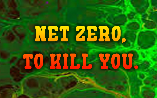 NET ZERO